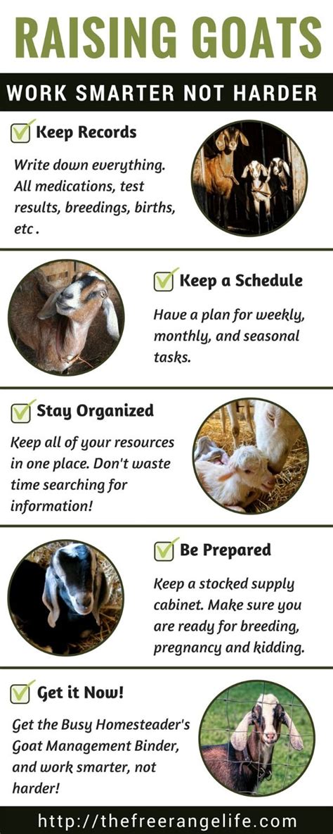 basic goat care sheet